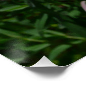 デイジーと雑草ワイルドフラワー ポスター (コーナー)