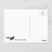 デイジーと雑草ワイルドフラワー ポストカード (裏面)