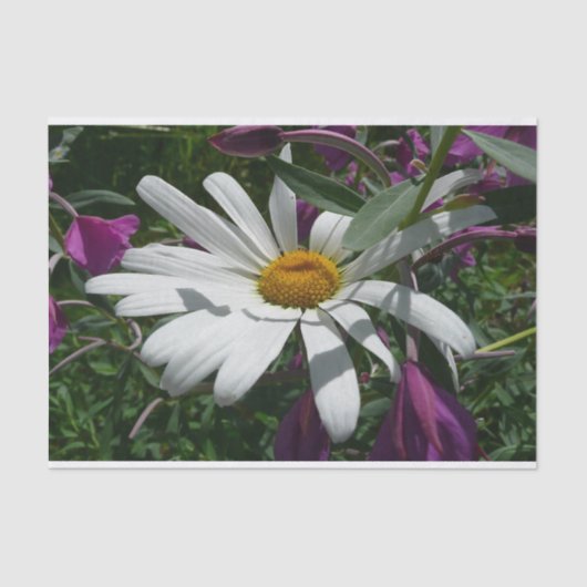 デイジーと雑草ワイルドフラワー 薄葉紙 (正面)