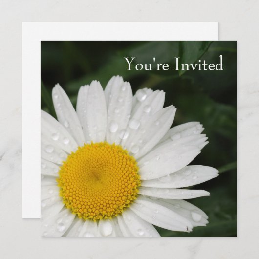 デイジーのすべての行事のイベントの招待状 招待状 (正面/裏面)