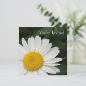 デイジーのすべての行事のイベントの招待状 招待状 (スタンド正面)