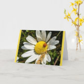 デイジーのてんとう虫 カード (黄色い花)