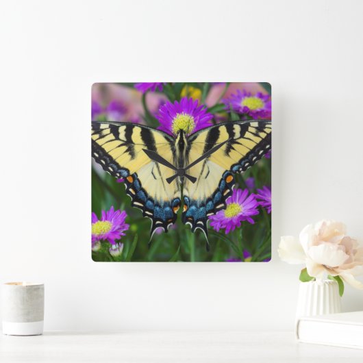 デイジーのアゲハチョウの蝶 スクエア壁時計 (ホーム)