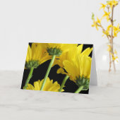 デイジーのクローズアップ カード (黄色い花)