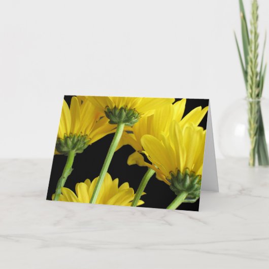 デイジーのクローズアップ カード (正面)