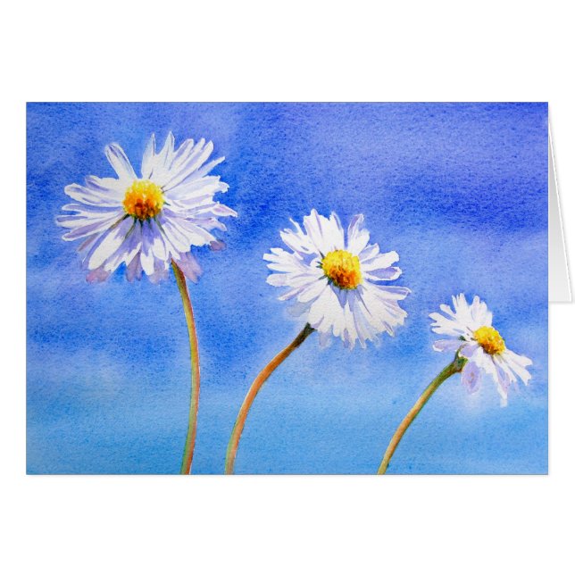 デイジーのデイジー (正面横)