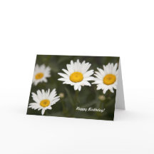 デイジーのデイジー