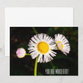 デイジーのフラバネ花。あなたは素晴らしい！ サンキューカード (正面/裏面)