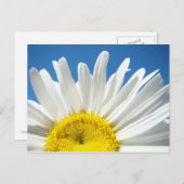 デイジーのフラワーポストカカスタムードのテストの追加 ポストカード (正面/裏面)