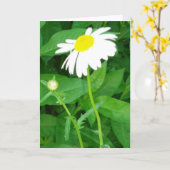 デイジーのメッセージカード カード (黄色い花)