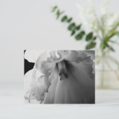 デイジーのモノクロ写真 ポストカード (スタンド正面)