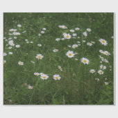 デイジーの丘 ラッピングペーパー (フラット)