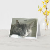 デイジーの冷えること カード (黄色い花)