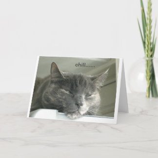 デイジーの冷えること カード