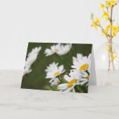 デイジーの分野-あなたの考えること カード (黄色い花)