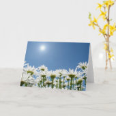 デイジーの分野 カード (黄色い花)