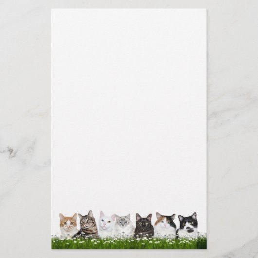 デイジーの子猫猫 便箋 (正面)