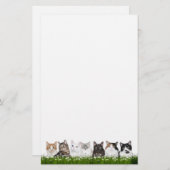 デイジーの子猫猫 便箋 (正面/裏面)