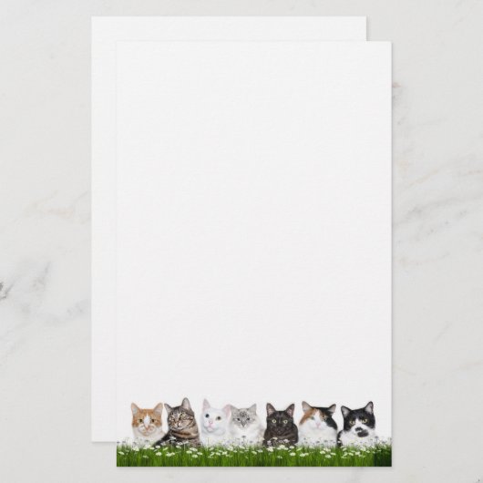 デイジーの子猫猫 便箋 (正面/裏面)