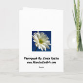 デイジーの挨拶状 シーズンカード (裏面)