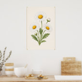 デイジーの植物画、4月の誕生花の壁掛けアート ポスター (キッチン)