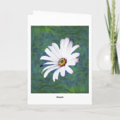 デイジーの花が早く咲く カード (裏面)