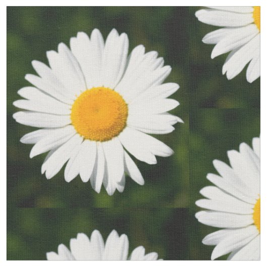デイジーの花が緑の模様 ファブリック (クローズアップ)