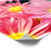 デイジーの花とのまわりにフレーム写真を追加 ポスター (角)