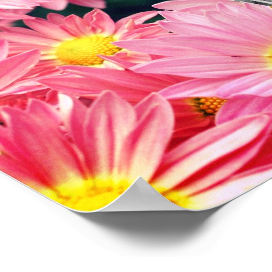 デイジーの花とのまわりにフレーム写真を追加 ポスター (角)