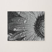 デイジーの花のぴかぴか光る雨低下 ジグソーパズル (横)
