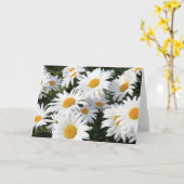 デイジーの花の成長する白 カード (黄色い花)