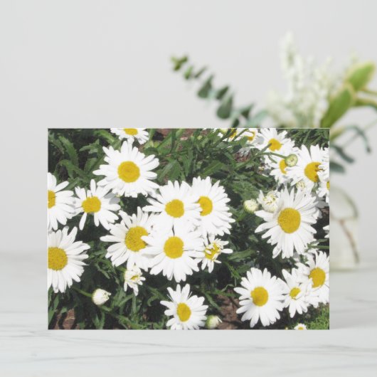 デイジーの花の招待状 招待状 (スタンド正面)