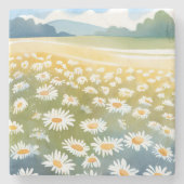 デイジーの花畑 | 花畑の花の絵画 ストーンコースター (正面)