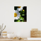 デイジーの花、液滴 ポスター (キッチン)