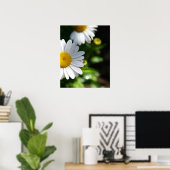 デイジーの花、液滴 ポスター (ホームオフィス)