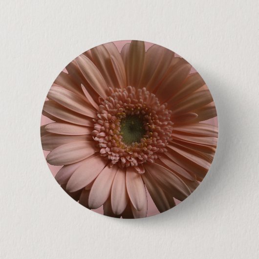 デイジーの花 缶バッジ (正面)