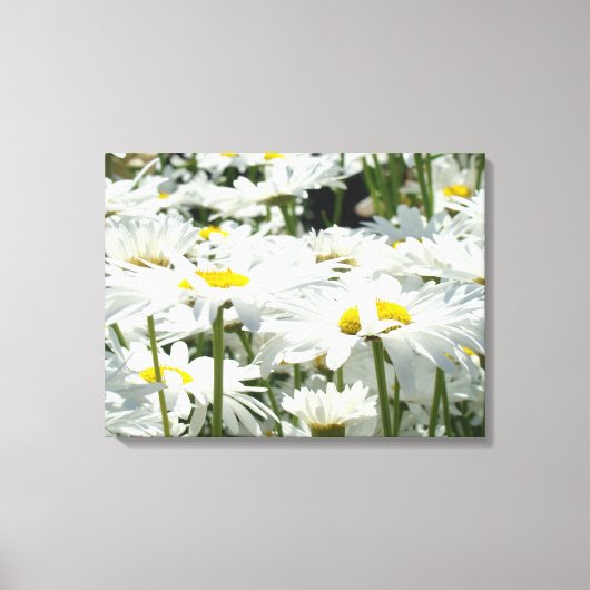 デイジーの花 装飾的なアート キャンバス 写真 (正面)