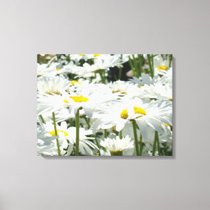 デイジーの花 装飾的なアート キャンバス 写真
