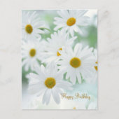 デイジーの花 – 誕生日はがき ポストカード (正面)