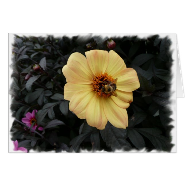 デイジーの蜂カード (正面横)