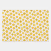 デイジーの誕生日包み紙 ラッピングペーパーシート (正面)