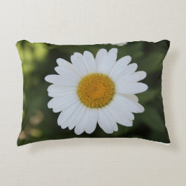 デイジーの高精細な写真 アクセントクッション