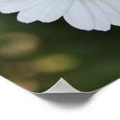 デイジーの高精細な写真「地球が笑う ポスター (角)