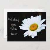 デイジーはがきカスタマイズ- It ポストカード (正面/裏面)