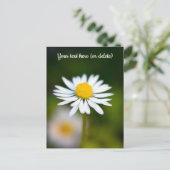 デイジーはがき シーズンポストカード (スタンド正面)