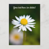 デイジーはがき シーズンポストカード (正面)