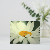 デイジーはがき ポストカード (スタンド正面)