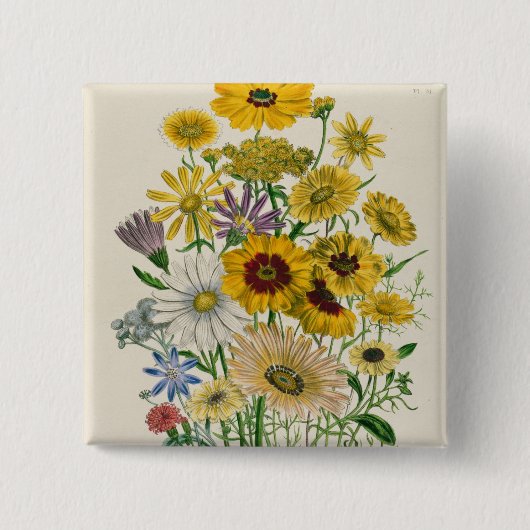 デイジーは、「女性からの31をめっきします 缶バッジ (正面)