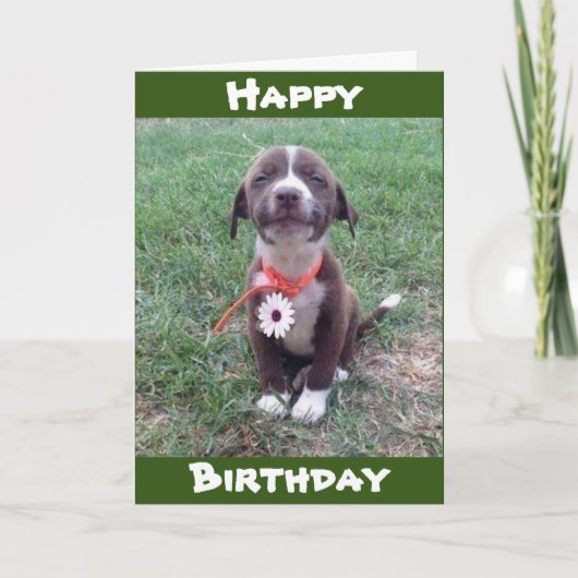 ***デイジーを着る***ハッピーバースデー カード (正面)