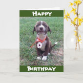 ***デイジーを着る***ハッピーバースデー カード (黄色い花)